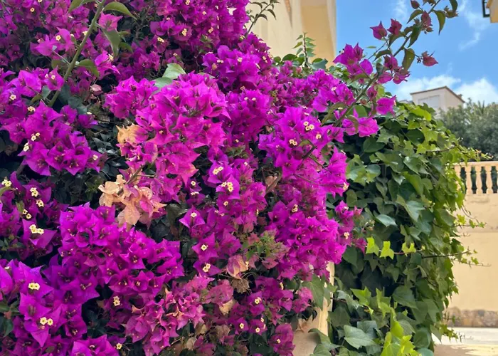 2 Bedroom Duplex I 公寓